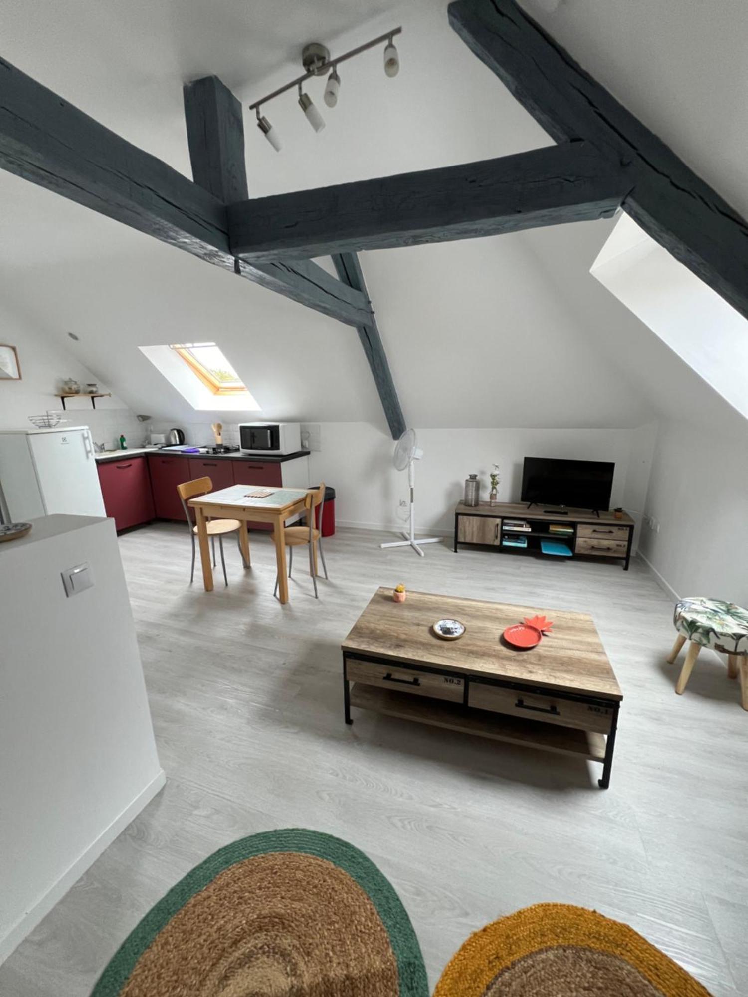 Appartement Avec Cours Saint-Brisson-sur-Loire Exterior foto